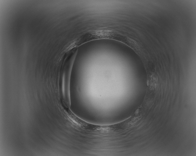 X0000054380428200507291122