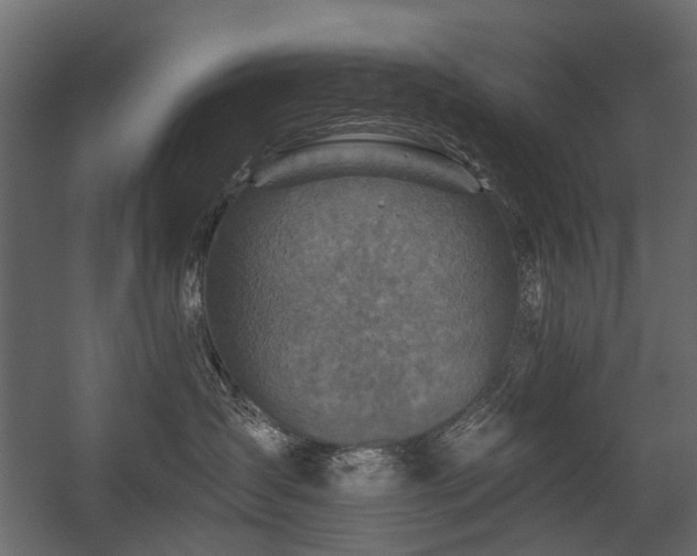 X0000054380431200507291122