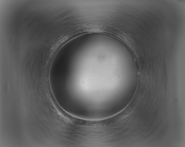 X0000054380433200507291121