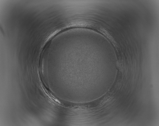 X0000054380434200507291121