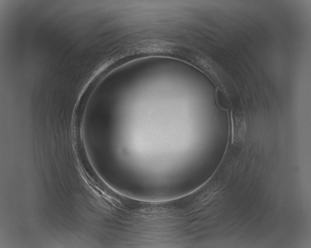X0000054380435200507291121
