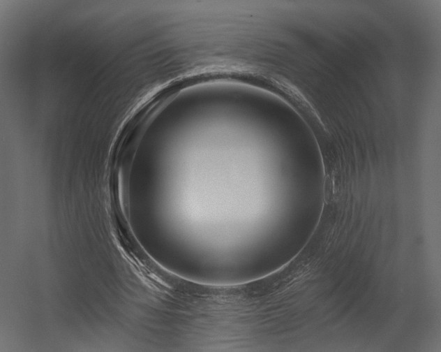 X0000054380436200507291121