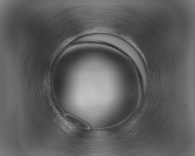 X0000054380437200507291121