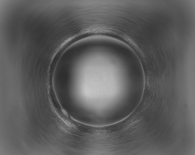 X0000054380438200507291121