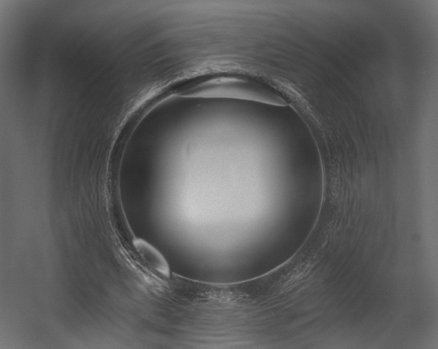 X0000054380439200507291121