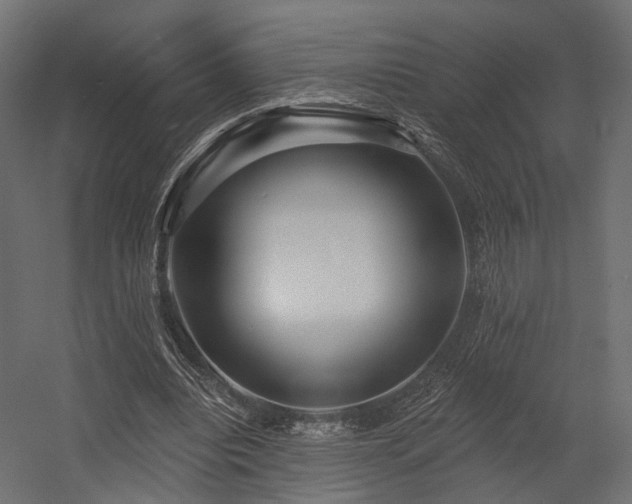 X0000054380440200507291121
