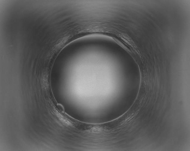 X0000054380441200507291121