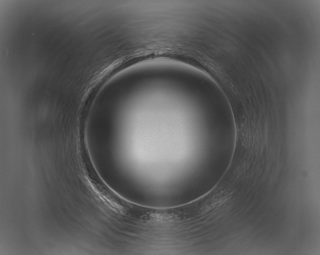 X0000054380442200507291121