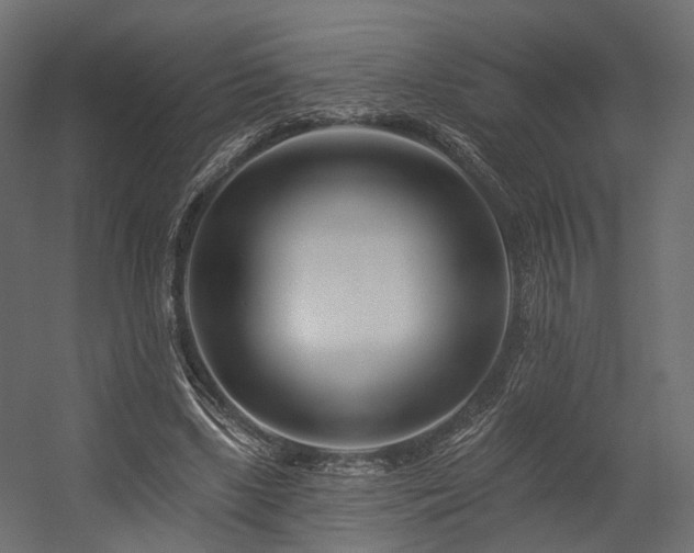X0000054380443200507291121