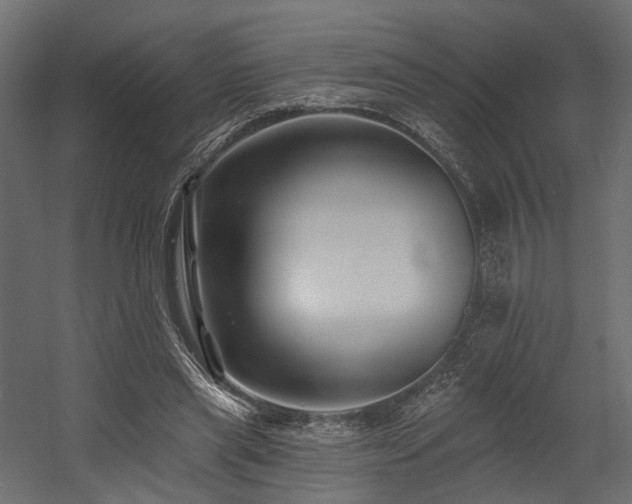 X0000054380445200507291122