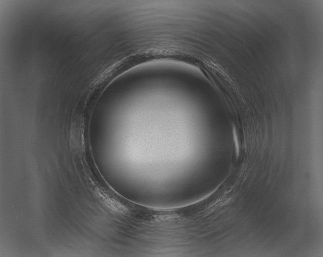 X0000054380446200507291122
