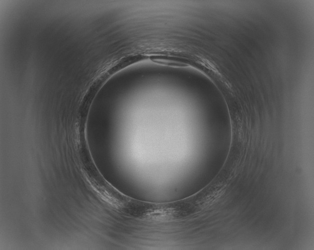 X0000054380447200507291122