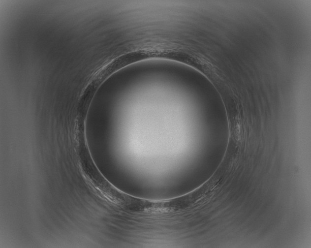 X0000054380448200507291122