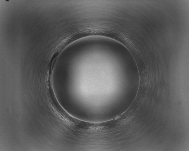 X0000054380450200507291122
