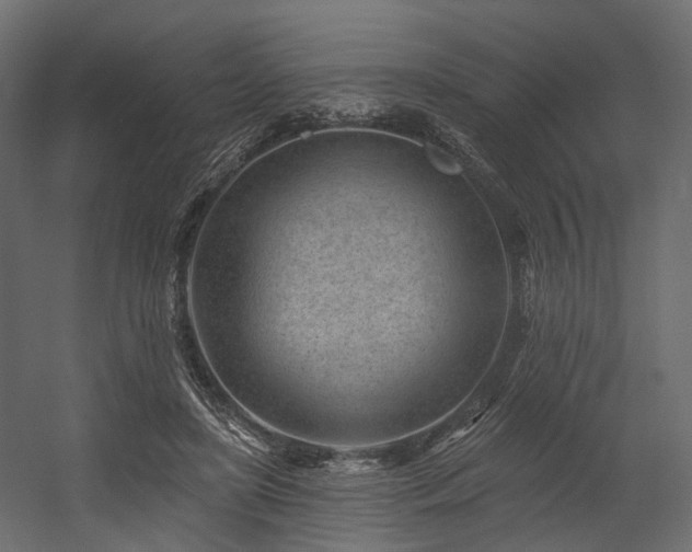 X0000054380451200507291122