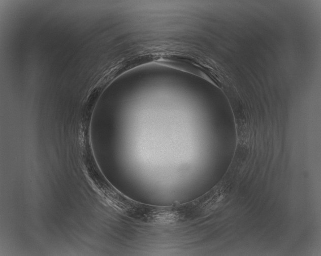 X0000054380456200507291122
