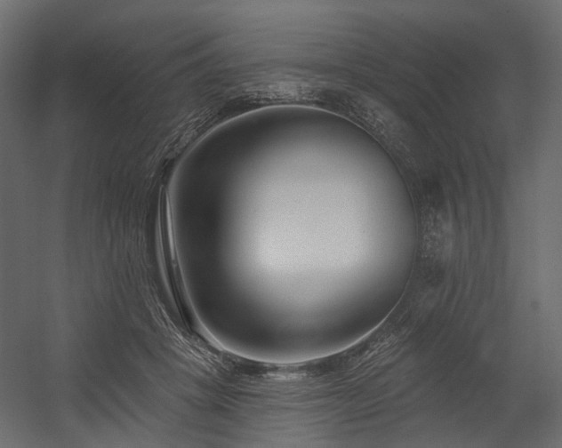X0000054380457200507291122