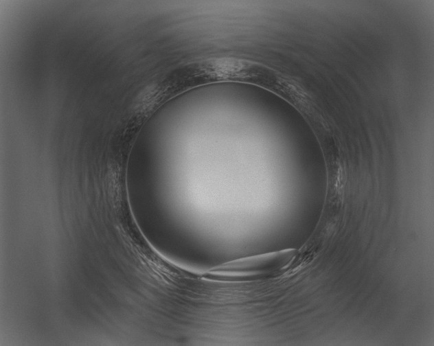 X0000054380461200507291122