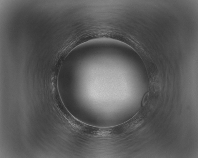 X0000054380462200507291122