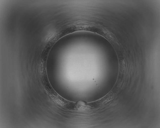 X0000054380463200507291122