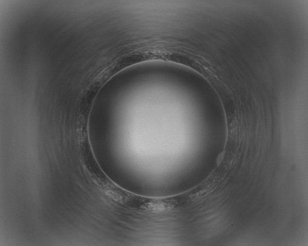 X0000054380464200507291122