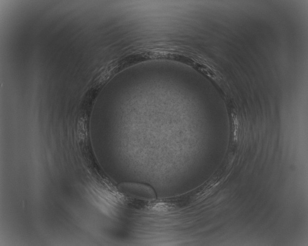 X0000054380467200507291122