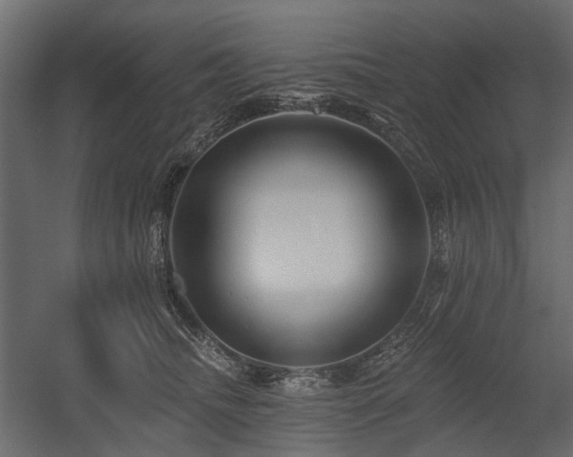 X0000054380468200507291122