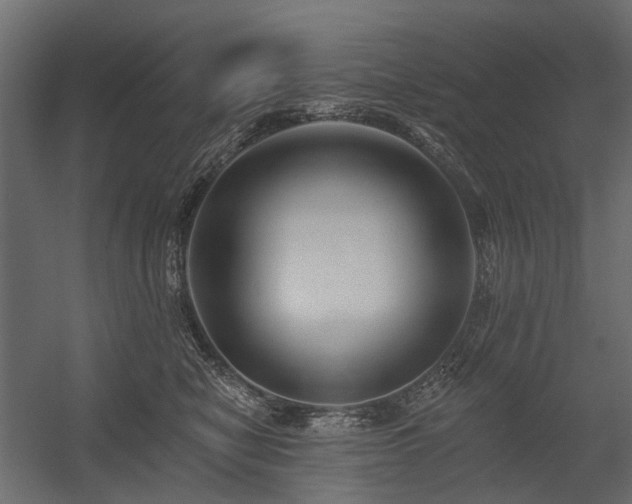 X0000054380470200507291122