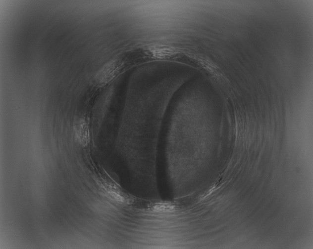 X0000054380471200507291122