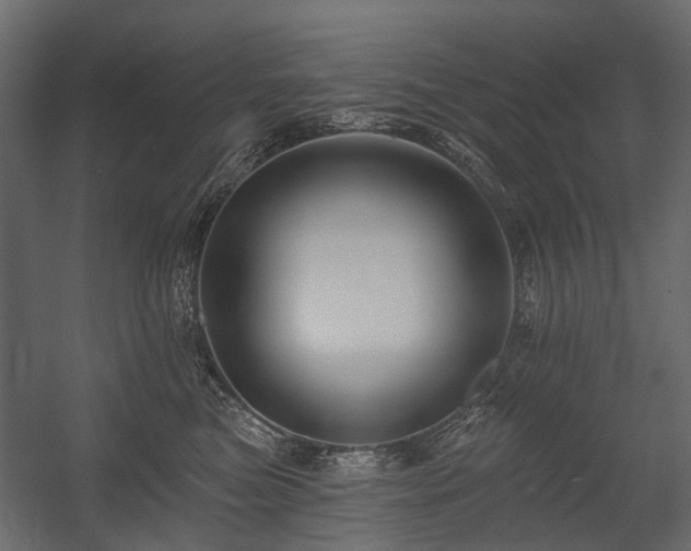 X0000054380473200507291122