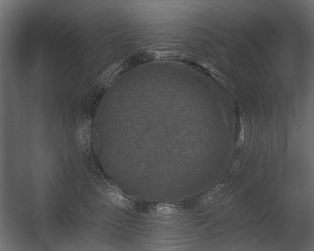 X0000054380475200507291122