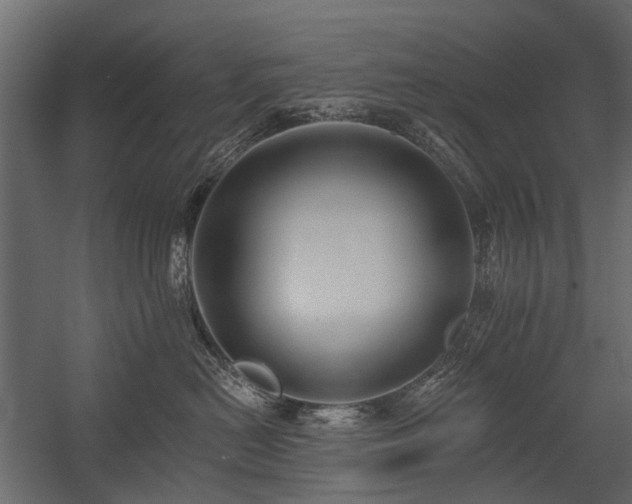 X0000054380478200507291122