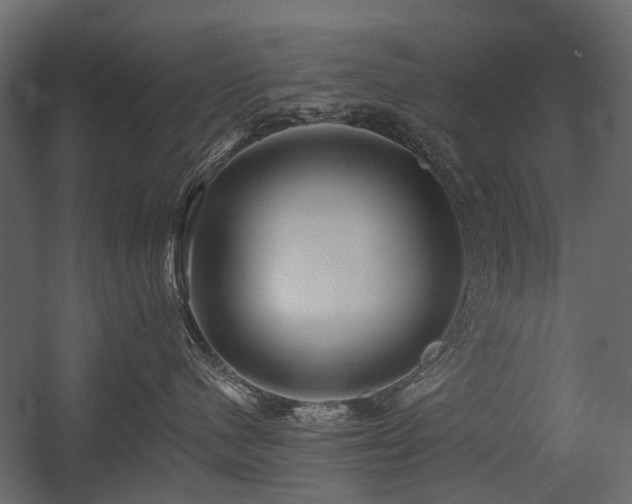 X0000054380480200507291122