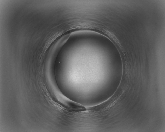 X0000054380481200507291121