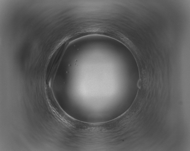 X0000054380482200507291121