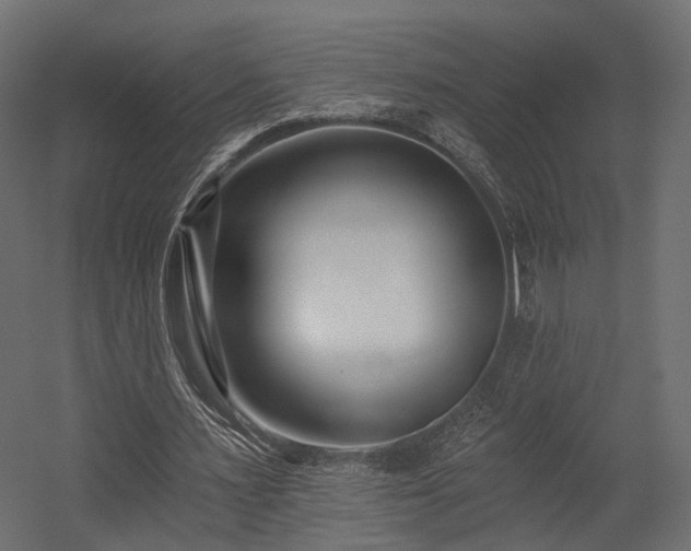 X0000054380483200507291121