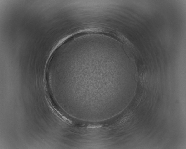 X0000054380484200507291121