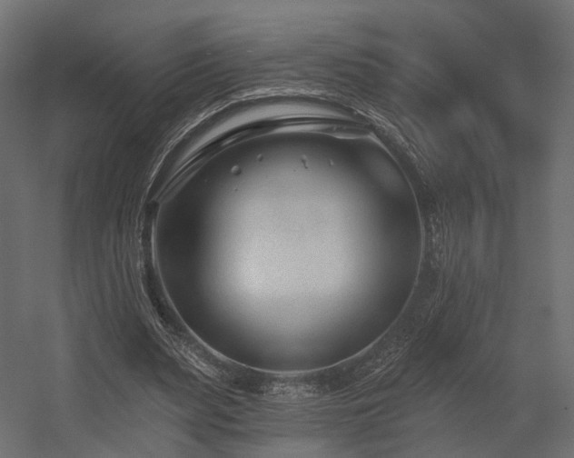 X0000054380487200507291121