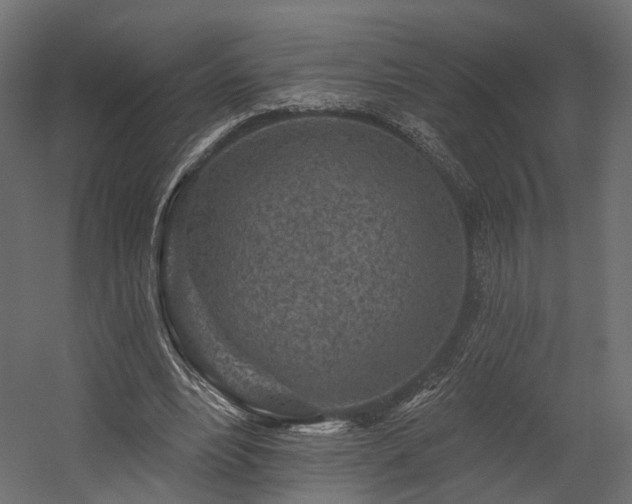 X0000054380488200507291121