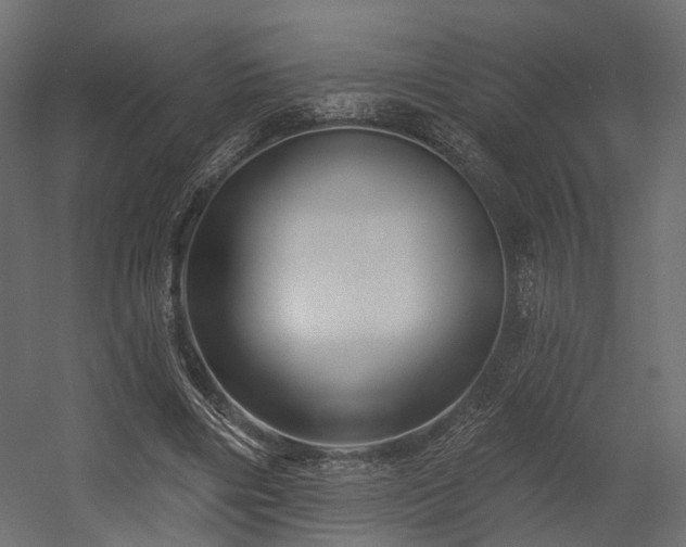 X0000054380490200507291121