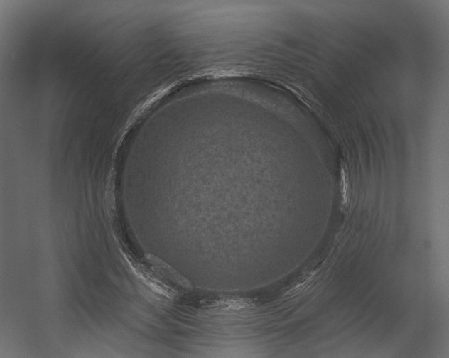 X0000054380492200507291121