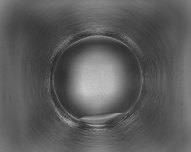 X0000054380493200507291121