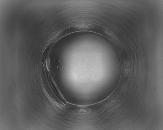 X0000054380494200507291121