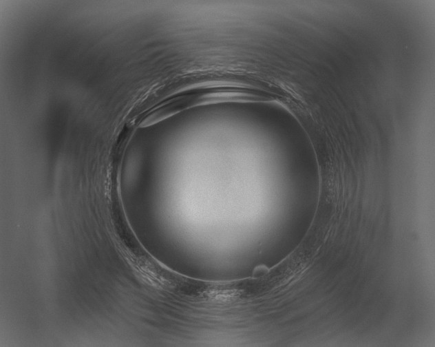X0000054380495200507291121