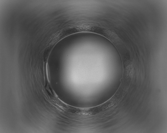 X0000054380498200507291121
