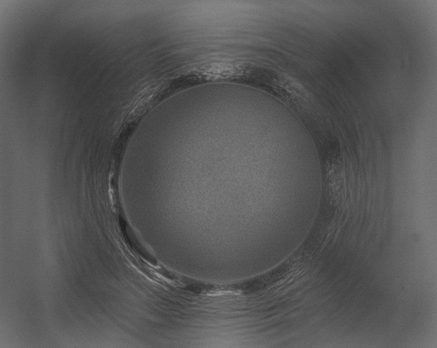 X0000054380499200507291121