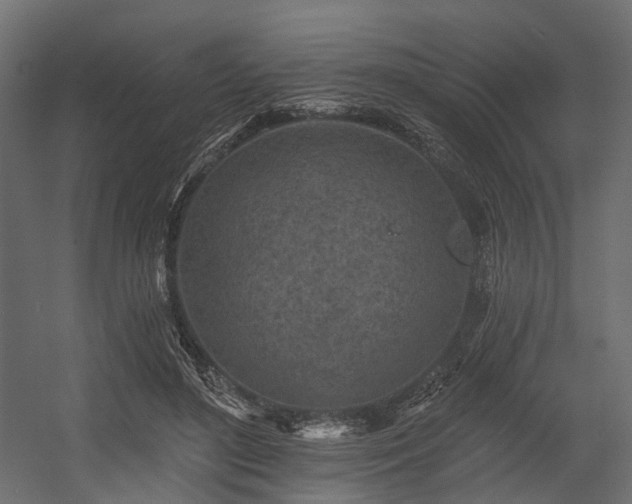 X0000054380500200507291121