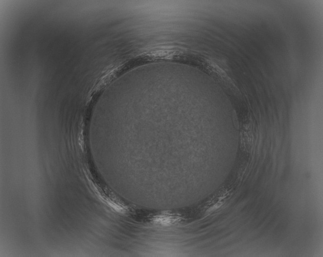 X0000054380504200507291121