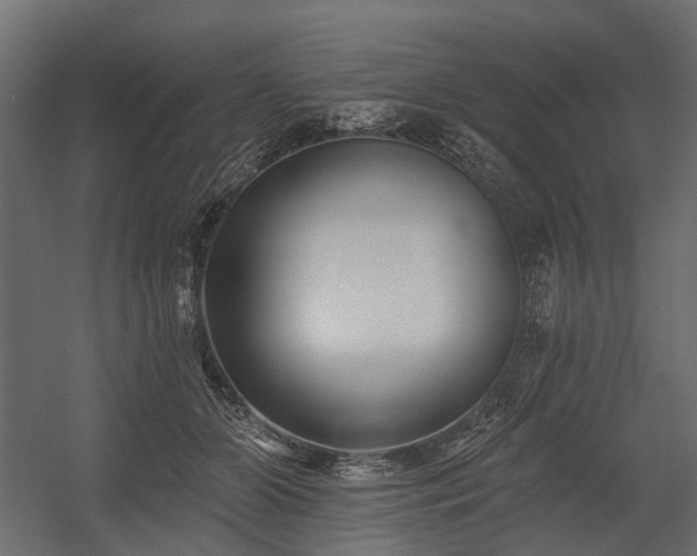 X0000054380510200507291121