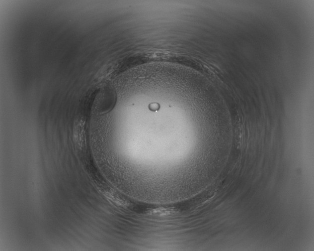 X0000054380511200507291121